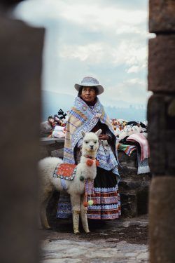 ALPACA